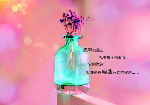 完结版小说桑雨熙周承安：结局+番外第13章阅读