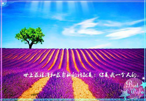 往昔爱意成灰：+后续简云初裴司誉小说_往昔爱意成灰：+后续完结版阅读