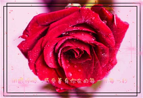 (番外)+(全文阅读)被抹杀后,老婆疯狂想殉情小说后续+大结局免费下载阅读_(姚雪薇沈怀安止渊)高分小说被抹杀后,老婆疯狂想殉情:结局+番外+完结最新章节列表_笔趣阁(姚雪薇沈怀安止渊)