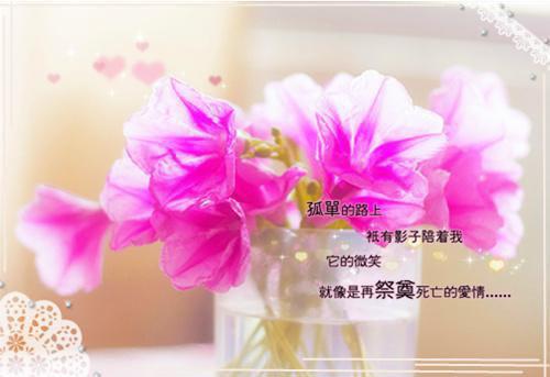 晋升员工评语（精选6篇）