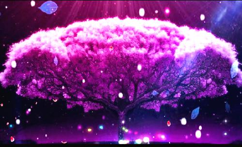 (番外)+(全文)凉风夜中来小说免费阅读下载阅读_(温南星司凉夜)凉风夜中来小说免费阅读最新章节列表_笔趣阁（温南星司凉夜）