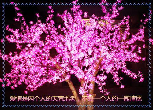 天上一颗星
