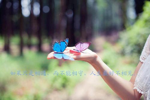 生日花束的祝福语