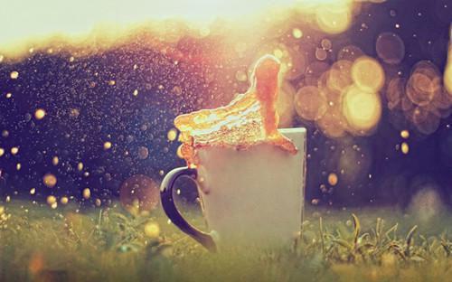 黎渊周云全章节_老公把我鱼尾割掉后，悔疯了小说阅读