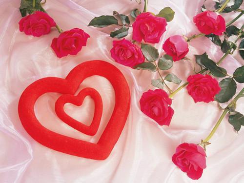 高考出分当天,班主任的我杀了全班42个同学:+后续+结局(许静安许念)最新章节列表_高考出分当天,班主任的我杀了全班42个同学:+后续+结局(许静安许念)高考出分当天,班主任的我杀了全班42个同学:+后续+结局在线阅读