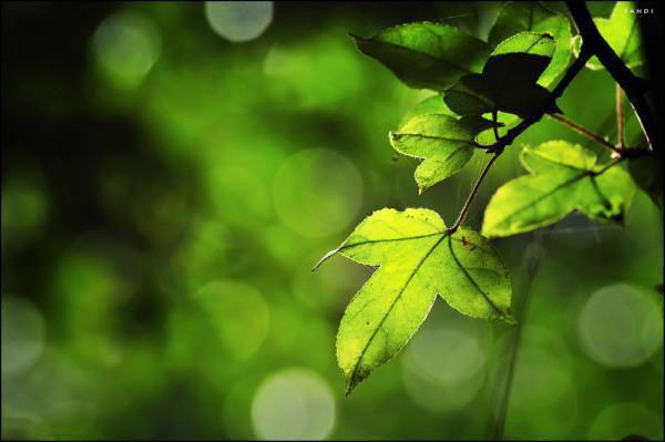 爱消逝在旧时光里：结局+番外赵启泽温良玉完结版全章节阅读