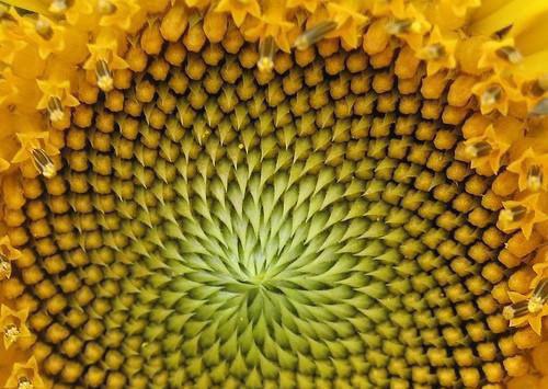 彼岸与你对望：续集+全文+后续（隋念安陈烟罗宇）全文免费阅读无弹窗大结局_（隋念安陈烟罗宇）最新章节列表_笔趣阁彼岸与你对望：续集+全文+后续