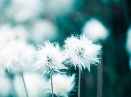 顾京淮姜渔岁顾京淮小说_顾京淮姜渔岁完结版阅读