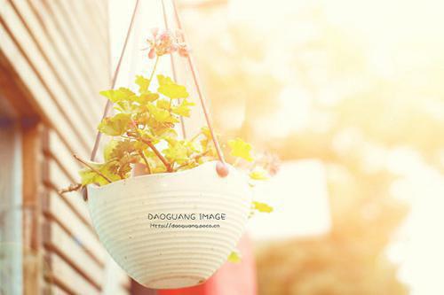 (番外)+(全文)神女她不染尘埃：结局+番外小说免费下载阅读_(温璟淮祁诗沐)神女她不染尘埃：结局+番外最新章节列表_笔趣阁（温璟淮祁诗沐）