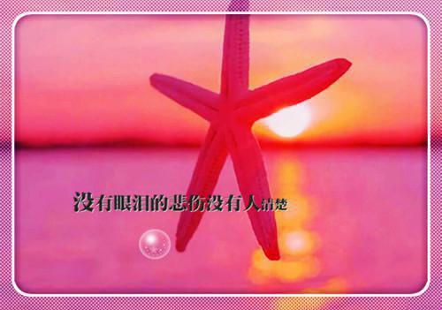 《闲庭莫畏不芳菲：外番+全文无广告小说》简芳菲徐莫庭（闲庭莫畏不芳菲大结局小说全集完整版）简芳菲徐莫庭全文阅读