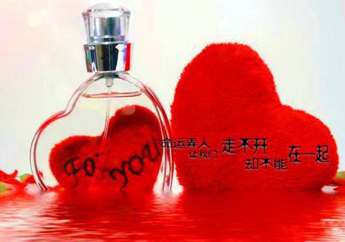 张小娴散文：二十二年后收到的内衣
