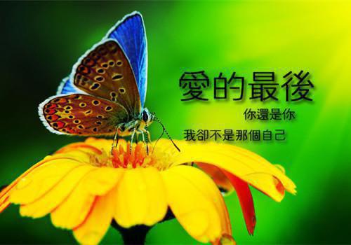 描写六一儿童节的诗句
