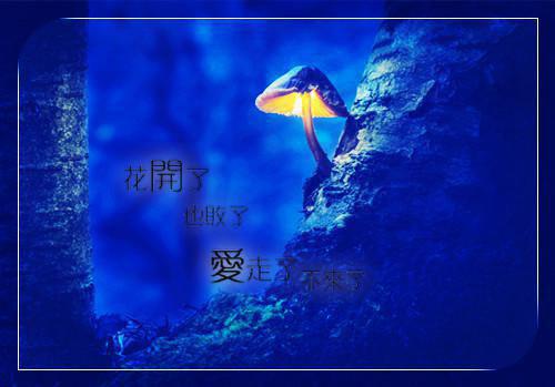 (番外)+(全文)女友当我是小白脸，却不知我是豪门贵子：全文+无广告（苏雨许流年）完整全文在线阅读_女友当我是小白脸，却不知我是豪门贵子：全文+无广告免费阅读最新章节列表_笔趣阁（苏雨许流年）