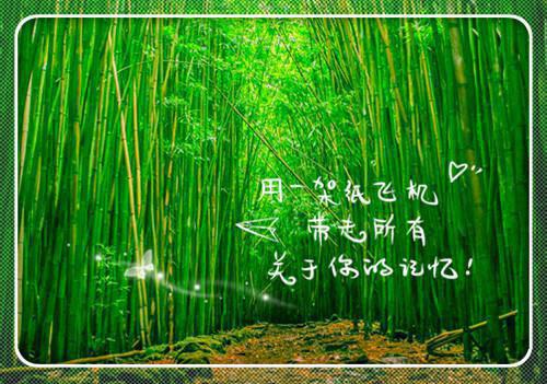 (番外)+(全文)孟祈年周晓晚小说免费下载阅读_(疏雨梧桐浅月朦胧：结局+番外)孟祈年周晓晚最新章节列表_笔趣阁（疏雨梧桐浅月朦胧：结局+番外）