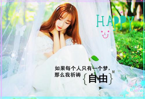 对论文设计的综合评语