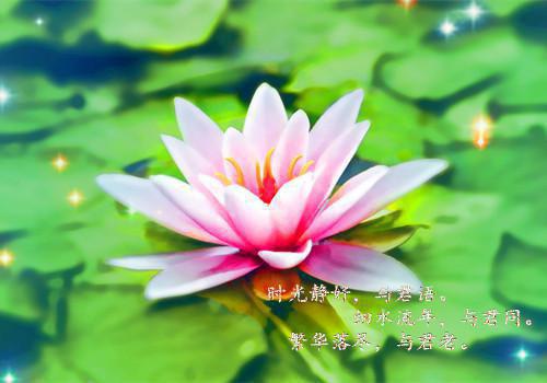 关于销售的励志文章