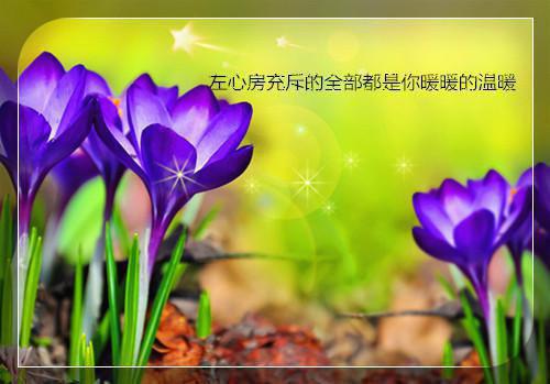 雪落再说爱你：全文+后续+结局（宋南夕周京泽）最新章节列表_雪落再说爱你：全文+后续+结局（宋南夕周京泽）全文+后续+结局在线阅读