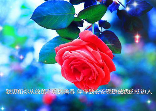 中班12月评语