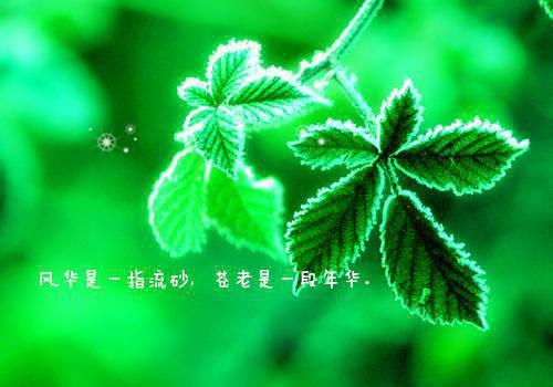 遥遥的小说_为了报复我，妻子夜夜笙歌林月瑶谢奇严羽飞小说阅读