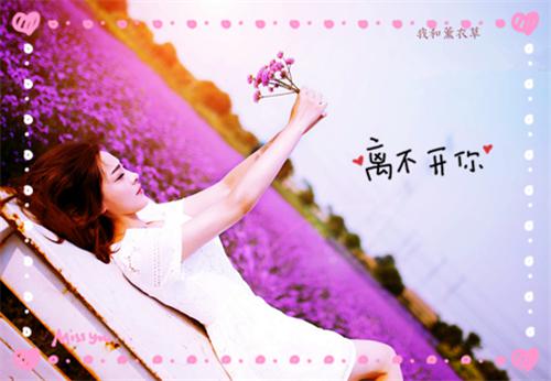 周一祝福短信：愿你天天乐开花!