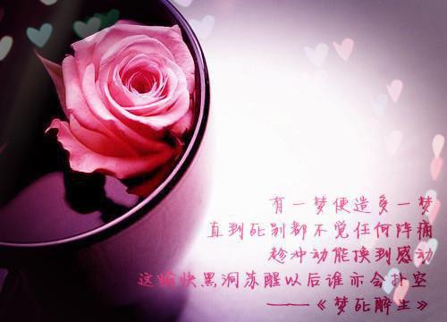 路遥星亦迟+后续常梨完本在线小说免费阅读