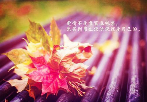 (番外)+(全文)孟谦荀宋雪诗(鹤别空山踏明月:结局+番外)全文免费阅读无弹窗大结局_孟谦荀宋雪诗全文最新章节列表_笔趣阁(鹤别空山踏明月:结局+番外)