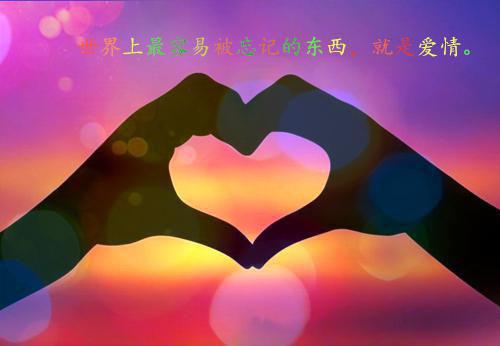 全网独家（雪落再说爱你：全文+后续）宋南夕周京泽万阅完整章节已完结阅读_雪落再说爱你：全文+后续最新章节列表_笔趣阁（宋南夕周京泽万阅）