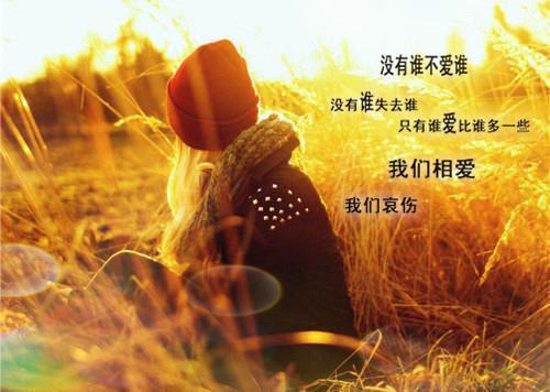 沈莺莺容怀允：+后续+结局在线阅读无弹窗_沈莺莺容怀允最新章节阅读全文沈莺莺容怀允：+后续+结局