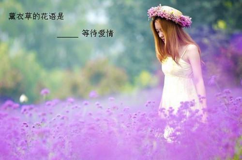 八年级上评语（通用5篇）