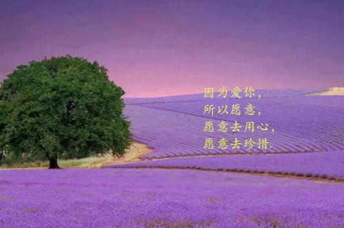 有个性的繁体字签名超拽伤感 感情就是不联系就会没有的东西