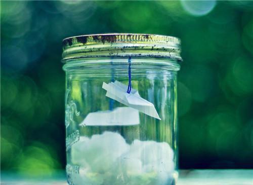 完结版小说恋爱脑鬼妻,每晚都换个身体陪我第4章阅读