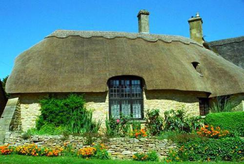 二年级下册评语(通用13篇)