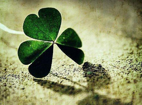 人生感悟文章两篇