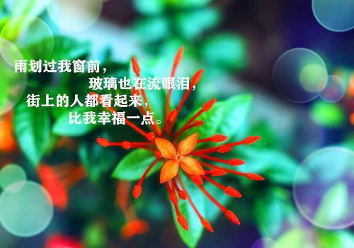 【新书】《不过短短三年,一切都变了:外番+全文无广告小说》陆清梨裴璟年不过短短三年,一切都变了:外番+全文无广告小说全文全章节阅读