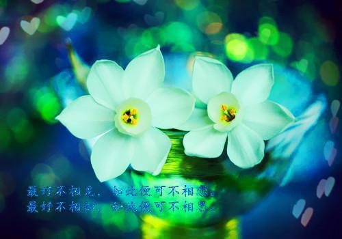 (番外)+(全文)青色似玉月如钩：全文+结局+番外（沈寒声谢语乔）全文免费阅读无弹窗大结局_青色似玉月如钩：全文+结局+番外最新章节列表_笔趣阁（青色似玉月如钩：全文+结局+番外）