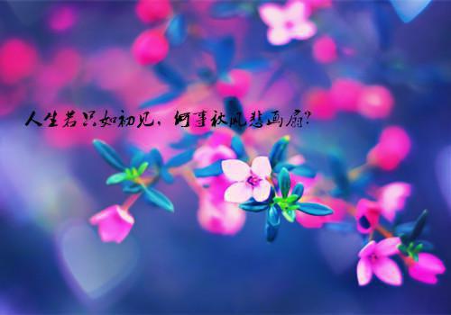 新的一周祝福短