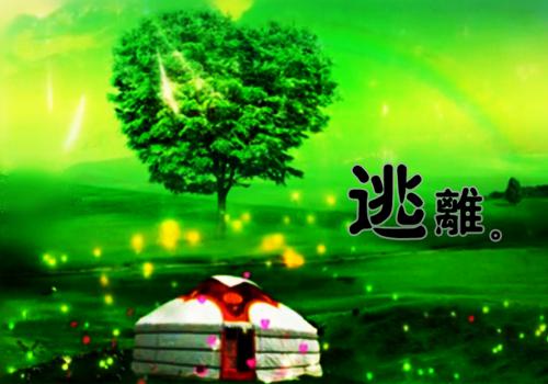 爱恨决绝，大悟无言：结局+番外（沈澈陆明月）最新章节列表_爱恨决绝，大悟无言：结局+番外（沈澈陆明月）全文+后续+结局在线阅读