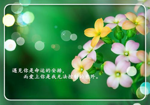 鼓励人勇敢的话激励人坚强勇敢的句子