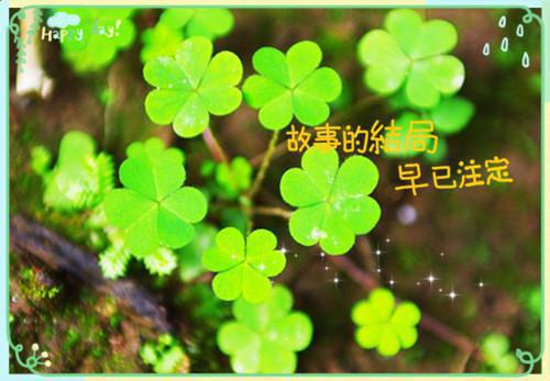 我真的陪他淋过大雨小说（靳寒夜姜青黎）全文免费阅读无弹窗大结局_我真的陪他淋过大雨小说全文免费阅读_笔趣阁（靳寒夜姜青黎）