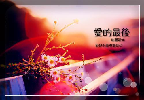 我真的陪他淋过大雨:结局+番外姜青黎靳寒夜尤念笙小说全文无删减版在线阅读-最新小说我真的陪他淋过大雨:结局+番外小说全文阅读