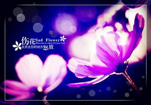 念你时花开林曦江砚辞：结局+番外（林曦江砚辞）全文免费阅读无弹窗大结局_念你时花开林曦江砚辞：结局+番外最新章节列表_笔趣阁（林曦江砚辞）