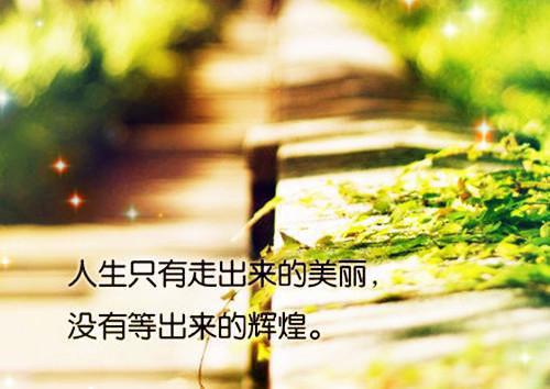沈知夏苏宴沈知夏完结版全章节阅读