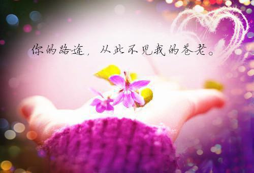 不再相信爱情心灰意冷的签名 恐惧之后会有一种重生的感觉么