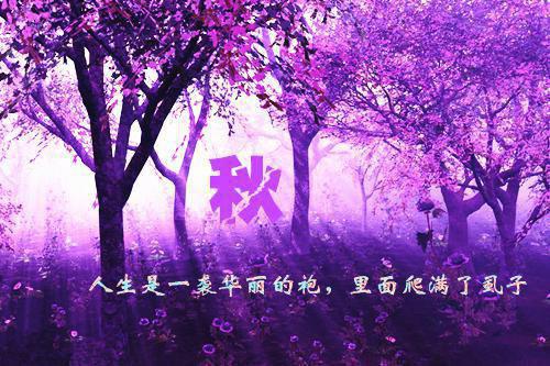 公司给客户新年贺词集