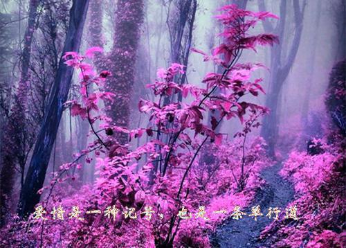 心的第七次颤动：结局+番外+小说姜颜苏砚全文免费阅读（心的第七次颤动：结局+番外+小说）全文免费姜颜苏砚阅读无弹窗大结局_心的第七次颤动：结局+番外+小说小说姜颜苏砚最新章节列表_笔趣阁（姜颜苏砚）