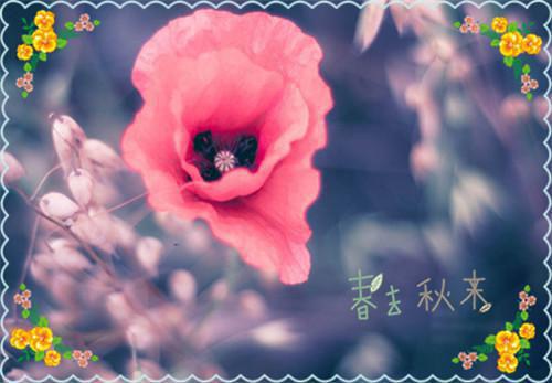 穿越言情小说里的唯美句子