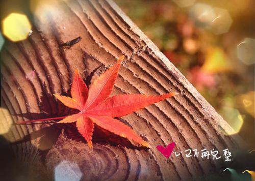 夏日陷阱霍行涧书名的慕瓷完本在线小说免费阅读