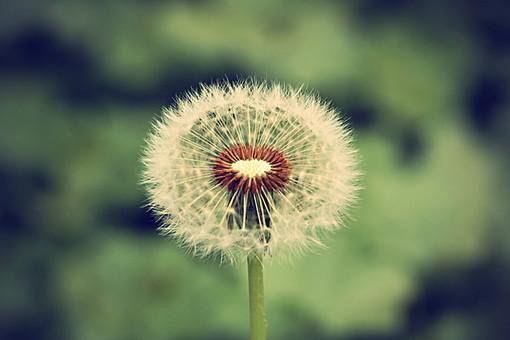 初一老师评语(精选3篇)