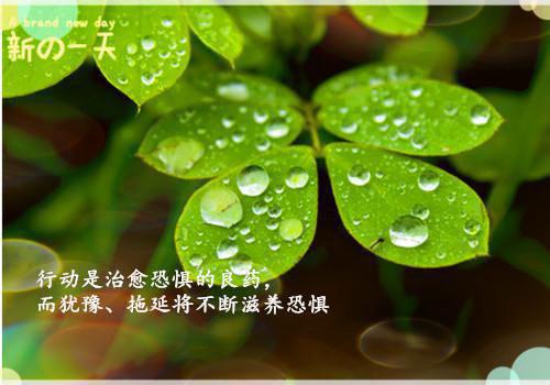 七夕节被捉奸团队打成三后我杀疯了庄正周芊芊小莫完结版全章节阅读