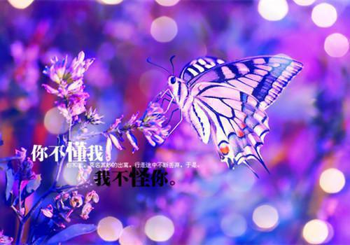 (番外)+(全文)吹牛是首富，一觉醒来成真了：结局+番外+完结小说免费下载阅读_(江南孟清秋)吹牛是首富，一觉醒来成真了：结局+番外+完结最新章节列表_笔趣阁（江南孟清秋）